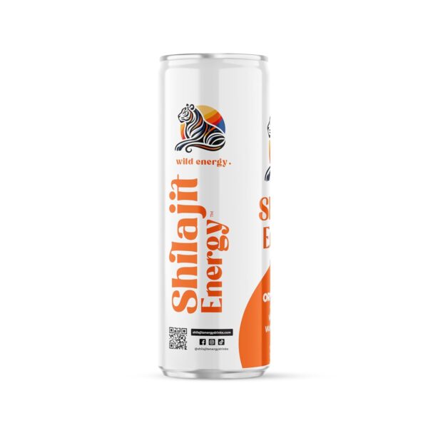 Shilajit Energy DrinK - Image 3