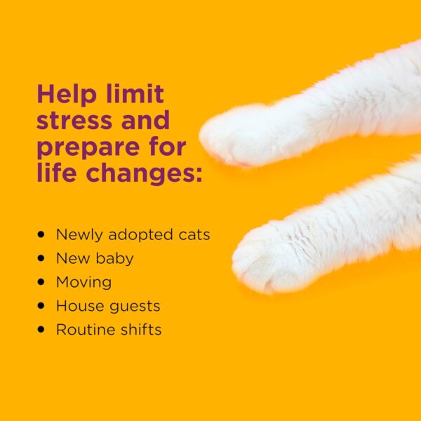 Cat Calming Diffuser: 1 Pheromone Diffusers - Image 4