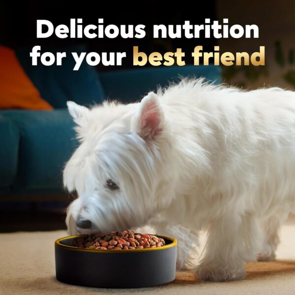 CESAR Small Breed Adult Dry Dog Food Filet Mignon - Image 3