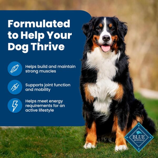 Blue Buffalo Life Protection Formula Adult Dry Dog Food, - Image 2