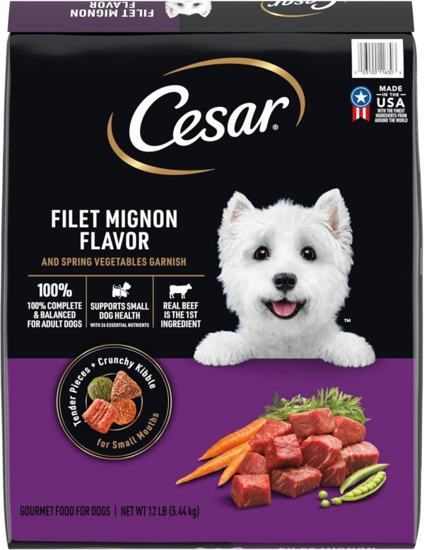 CESAR Small Breed Adult Dry Dog Food Filet Mignon