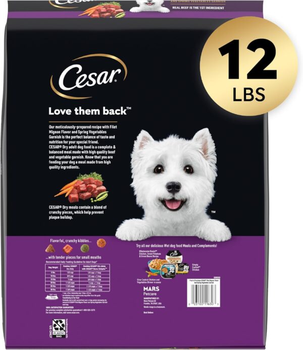 CESAR Small Breed Adult Dry Dog Food Filet Mignon - Image 5